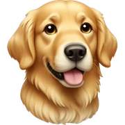 Golden retriever  sticker