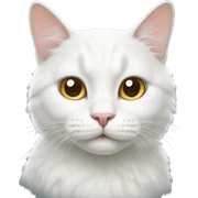 white cat sticker