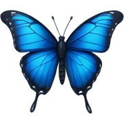 dark blue butterfly  sticker