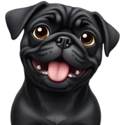 black pug sticker