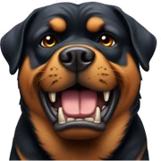 Angry Rottweiler  sticker