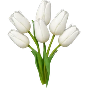 white tulip bouquet  sticker