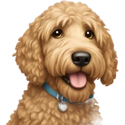 Goldendoodle  sticker