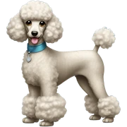 Poodle sticker