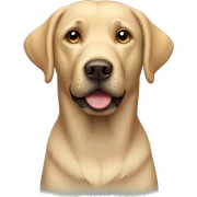 Labrador sticker