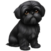 black Shih-Tzu sticker