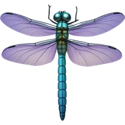 Dragonfly sticker