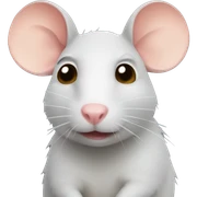 Rat sticker