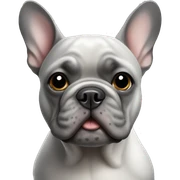 grey french bulldog sticker