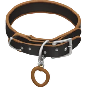 Dog collar sticker