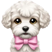 Schichon puppy pink bow sticker