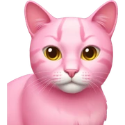 Pink cat sticker