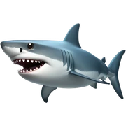 Shark  sticker