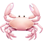 light pink crab sticker