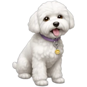 Bichon sticker