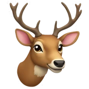 Deer sticker