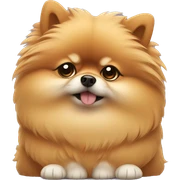 Depressed pomeranian sticker