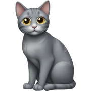 Grey cat  sticker