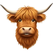 Highland cow sticker