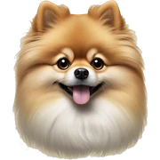 Hyper realistic Pomeranian  sticker