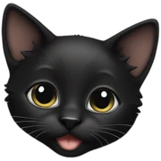black kitten sticker