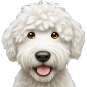 white fluffy labradoodle sticker