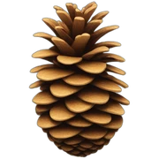 pine cone sticker