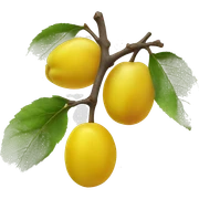 yellow plum sticker