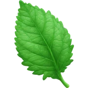mint leaf sticker