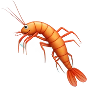 Shrimp surfing sticker