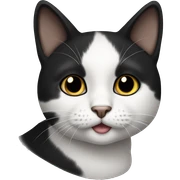 Black and white cat sticker