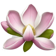 Magnolia  sticker