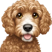 Cavaoodle ￼ sticker