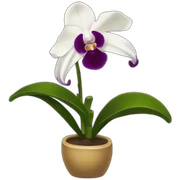 Orquidea sticker
