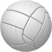 volleyball sticker