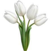 White tulips sticker