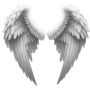 Angel wings  sticker