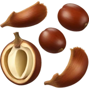 Chestnut sticker