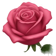 Rose sticker
