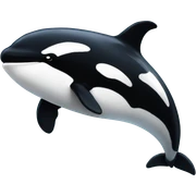 Orca  sticker