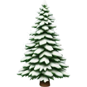  actual white fir christmas tree isolated.  sticker