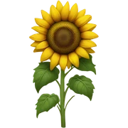 Sunflower  sticker
