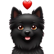 Little black spitz with red heart sticker