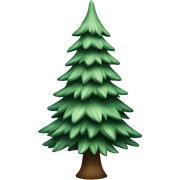  actual white fir christmas tree isolated.  sticker