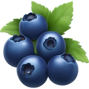 blueberry sticker