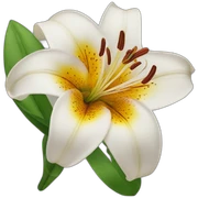 lily sticker