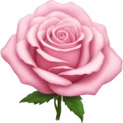 Pink rose sticker