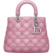 Dior bag  sticker