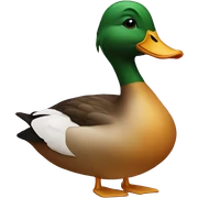 Duck sticker