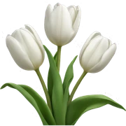 White tulips sticker